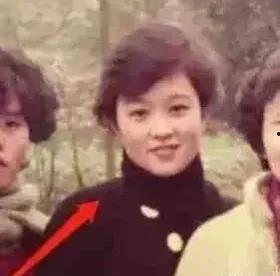 娱乐圈吃瓜资深少女